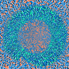 Kaia Nao color motion optical illusion